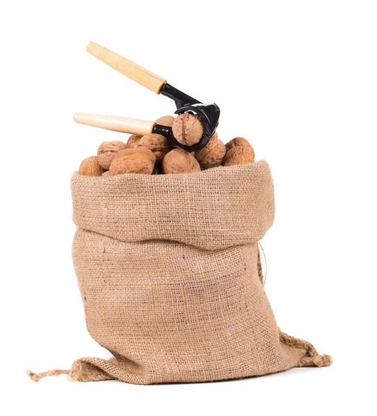 Мешок с грецкими орехами и орехами . — стоковое фото