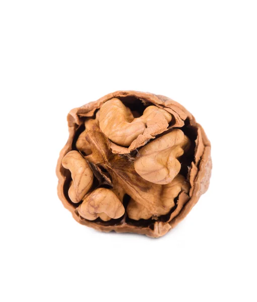 Cracked walnut. — Stock Photo, Image