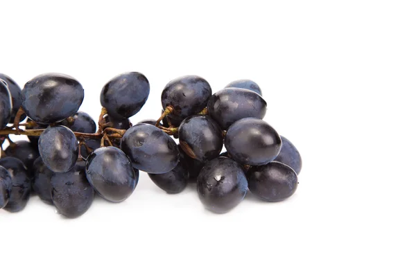 Czarny dojrzałe winogrona. — Zdjęcie stockowe