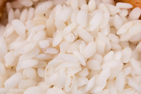 Primer plano del arroz. —  Fotos de Stock