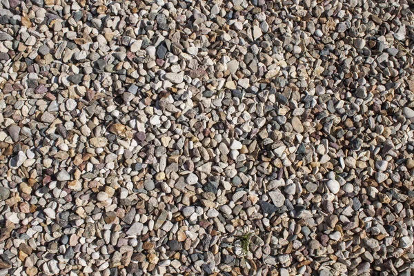 Estrutura de um seixo de mar variegado . — Fotografia de Stock