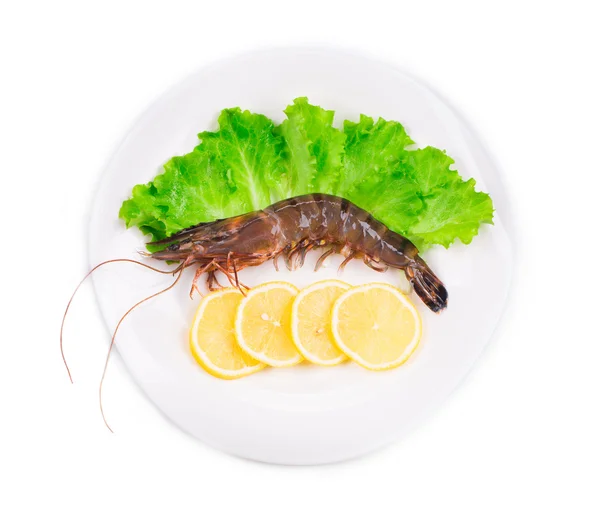 鲜虾 — 图库照片