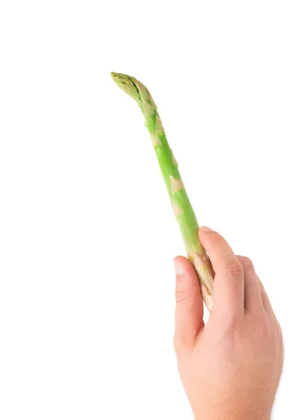 Hand holding asparagus. — Stock Photo, Image