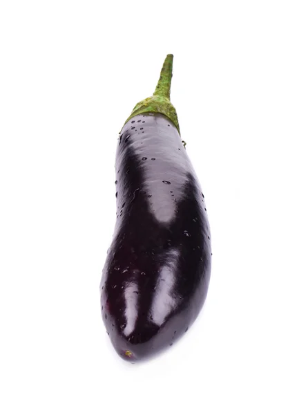 Färska aubergine — Stockfoto