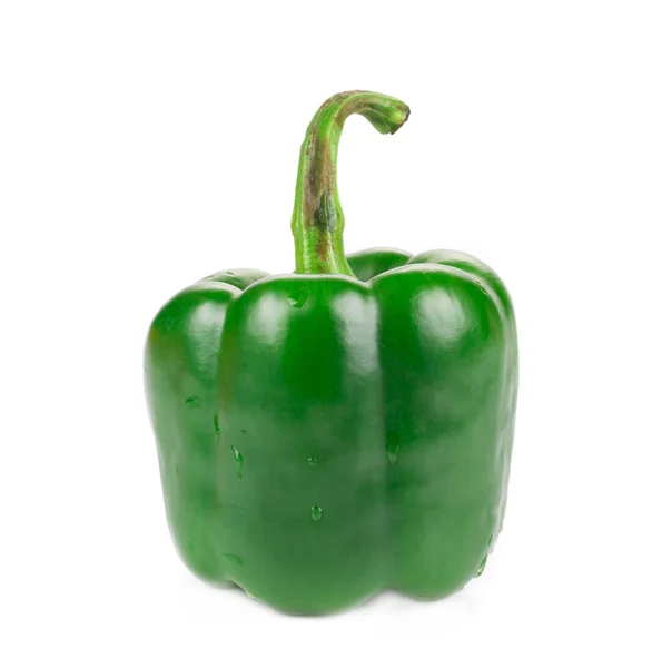 Grønn pepper . – stockfoto