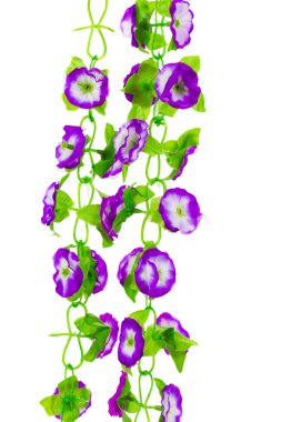 çiçek açan çiçekler