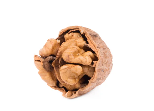 Расколотый грецкий орех — стоковое фото