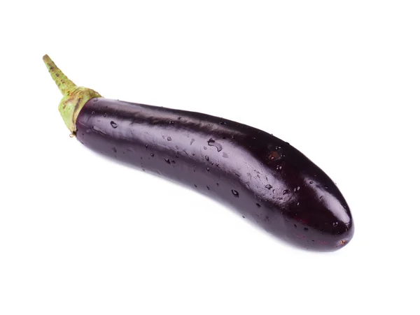 Black eggplant — Stock Photo, Image