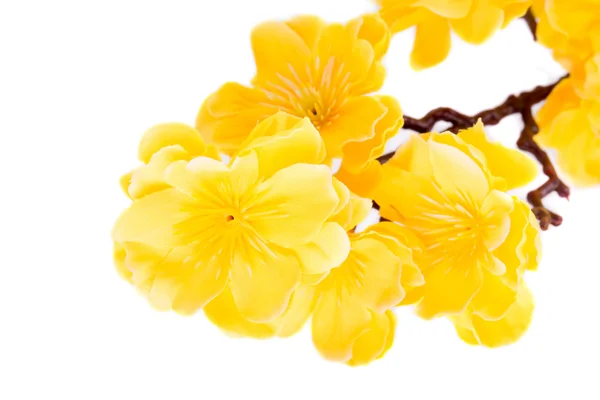 인공 노란 꽃 — 스톡 사진