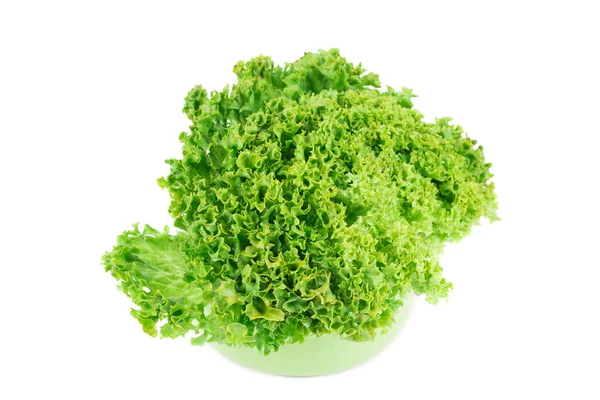 Delicious Lettuce — Stock Photo, Image