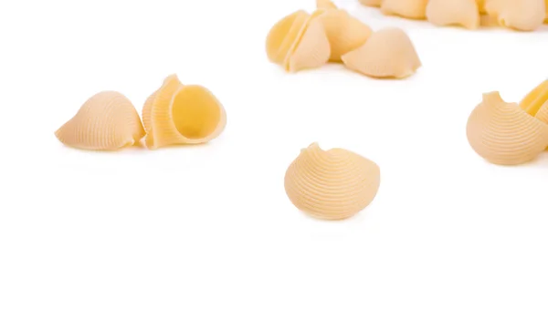 Uncooked pasta lumaconi. — Stock Photo, Image