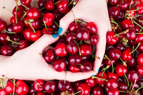 Heart from hands on a background of cherry. — Stock Photo, Image