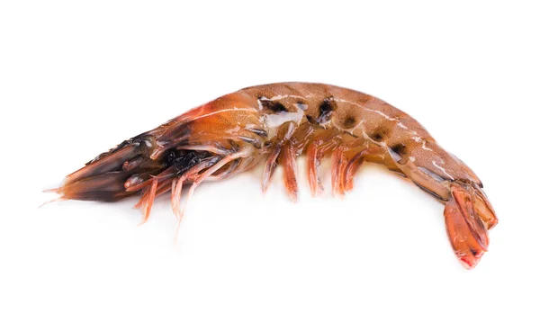 Raw shrimp — Stock Photo, Image