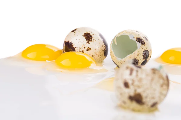 Huevos rotos de codorniz — Foto de Stock
