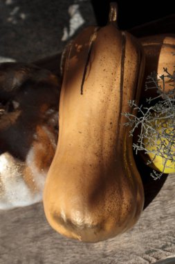 Şehir caddesinde kaldırımda bir balkabağı. Cadılar Bayramı dekorasyonu açık havada. Mesaj için yer var. Cadılar bayramın kutlu olsun. Kasabada sonbahar pazarı. Yakın plan. Işık ve gölge.