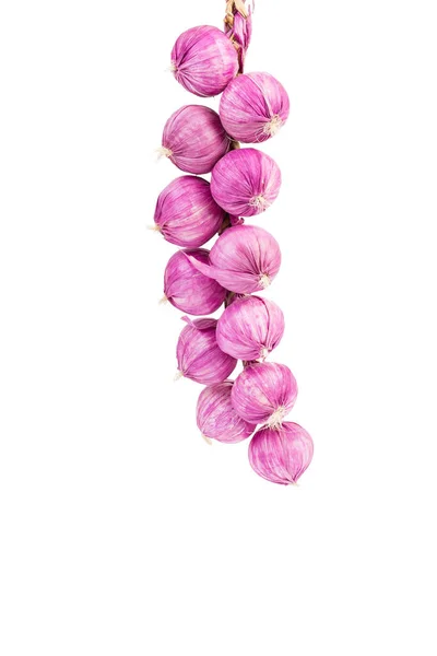 Artificial Onion Intertwined Braid Isolated White Background Close — Stock Photo, Image