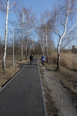 Huş ağaçlarının arasındaki parkta yürüyüş yolu. Bir şehir manzarası. Yapıştırıcı gökyüzü.