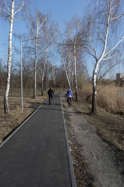 Huş ağaçlarının arasındaki parkta yürüyüş yolu. Bir şehir manzarası. Yapıştırıcı gökyüzü.