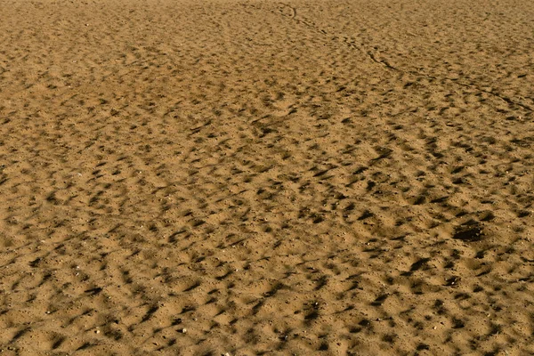 Sandstruktur Mit Kieselsteinen Als Hintergrund Nahaufnahme — Stockfoto