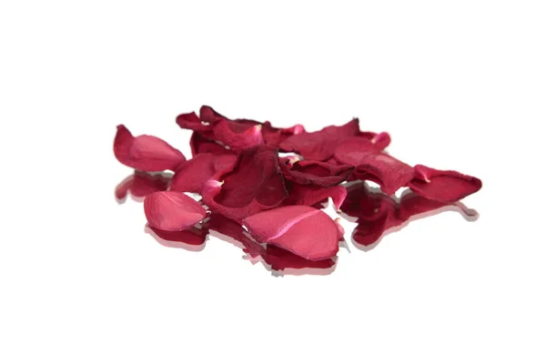 Red Rose Petals Reflection Surface Isolated White Surface Close — Stock Photo, Image