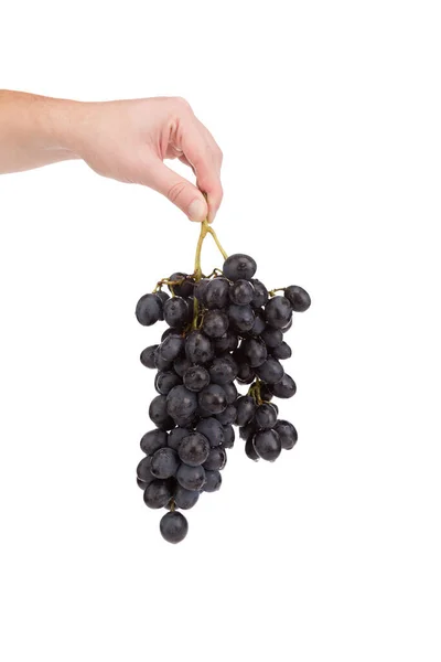 Bunch Grapes Human Hand Isolated White Background Close — Photo