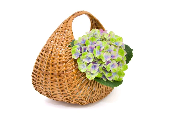 Basket with flowers isolated on white — Stok fotoğraf