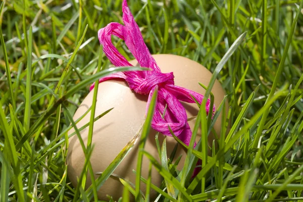 Ovos de Páscoa na grama fechar — Fotografia de Stock