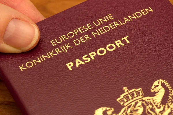 pasaport yakın çekim