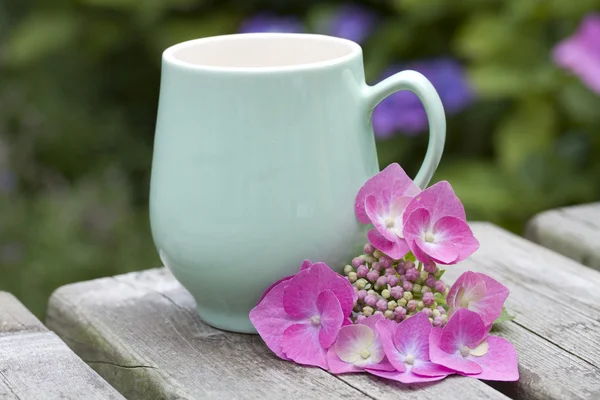 Cup with beautiful pink flowers on wooden table — Stock Photo, Image