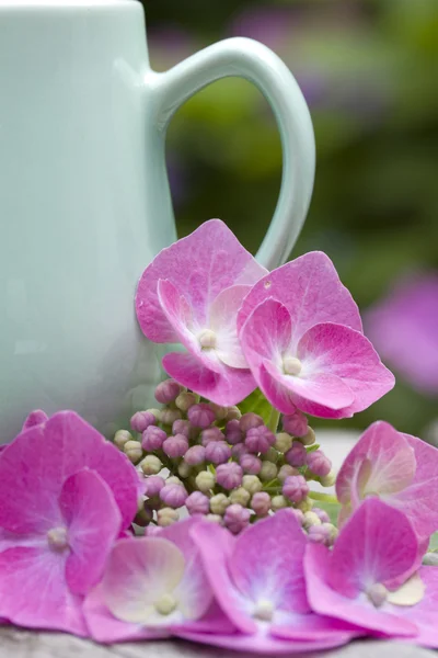 ピンクの花とカップをクローズ アップ — ストック写真