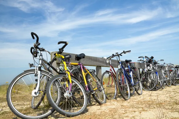 Много велосипедов — стоковое фото