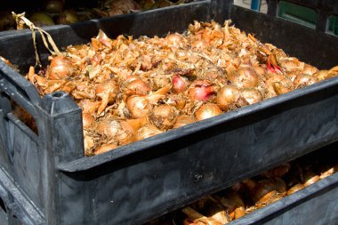 sendikalar içinde bir krater