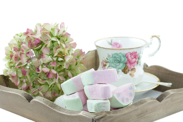 Serving-tray with classic teacup — Stock Photo, Image