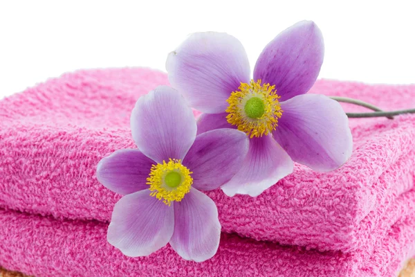 Two anemones on towels — Stock Photo, Image