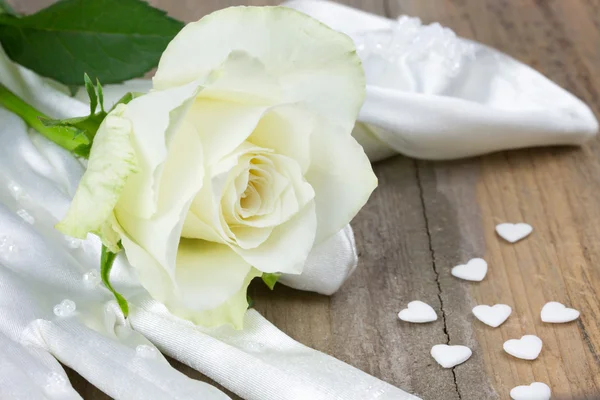 Rosa bianca e guanto da sposa — Foto Stock