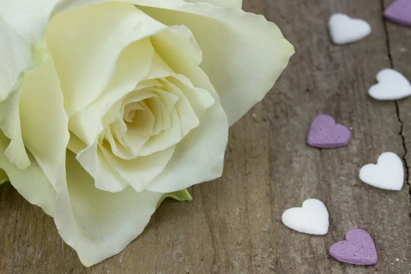 Macro di una rosa bianca su una superficie di legno — Foto Stock