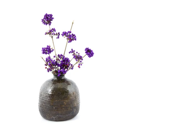 Grenar av beautyberry bush i en vas — Stockfoto