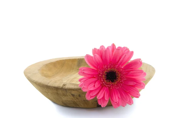 Rosa gerberas flor de margarita en cuenco de madera — Foto de Stock