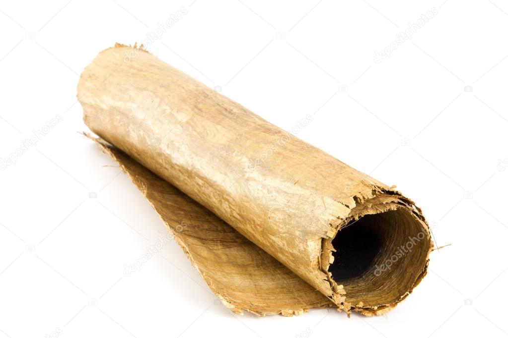 Egyptian paper reed isolated on white — Stock Photo © EllenMol 39165215