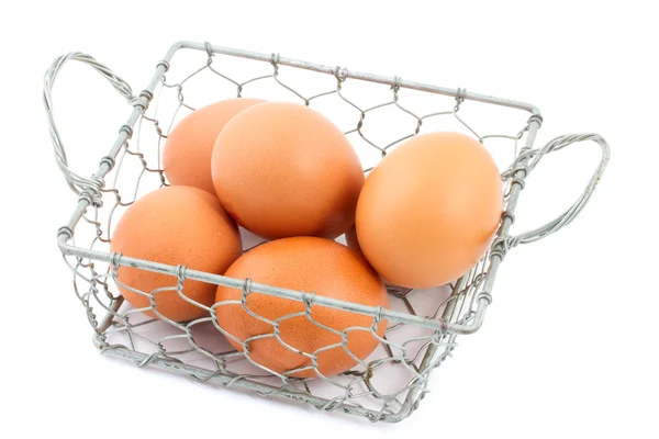 Cesta de alambre de pollo llena de huevos —  Fotos de Stock