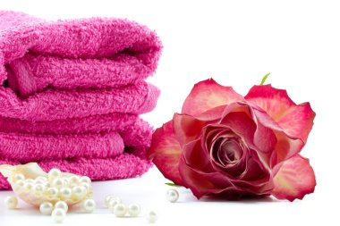 inci ve arka plan üzerinde havlu kabuk