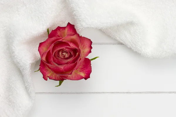 Белое полотенце и красная роза — стоковое фото