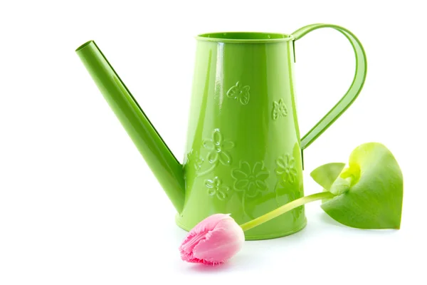 Maçã verde regador-lata e tulipa — Fotografia de Stock