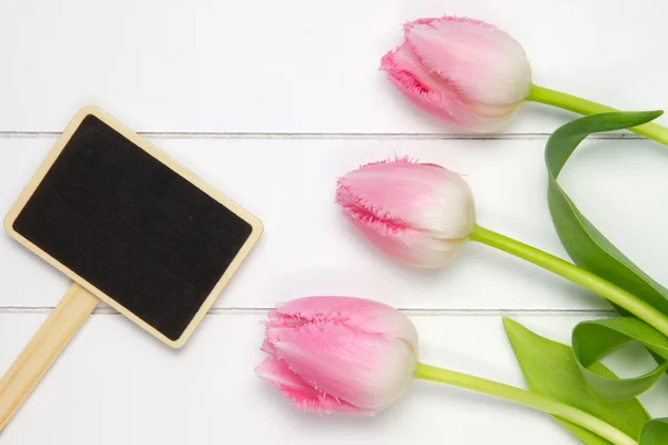 Bovenaanzicht van drie zacht roze tulpen — Stockfoto