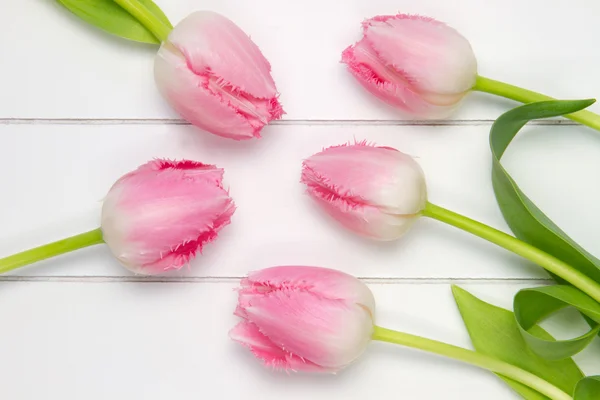 Cinco suaves tulipanes rosados sobre una superficie de madera blanca —  Fotos de Stock