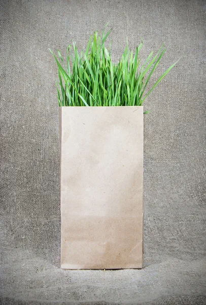 Fresh green grass on sacking background — Stock Photo, Image