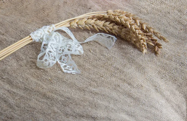 小麦的解雇背景 — 图库照片