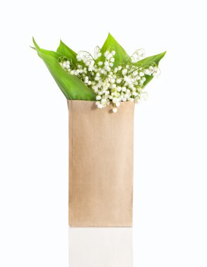Lily vadi bir kağıt torba