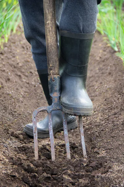 Frühlingserde mit Schaufel ausheben — Stockfoto