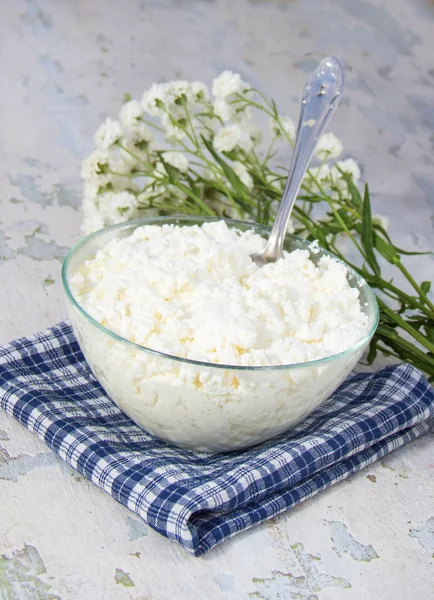 Cottage cheese and flowers on a napkin — Stock Photo, Image